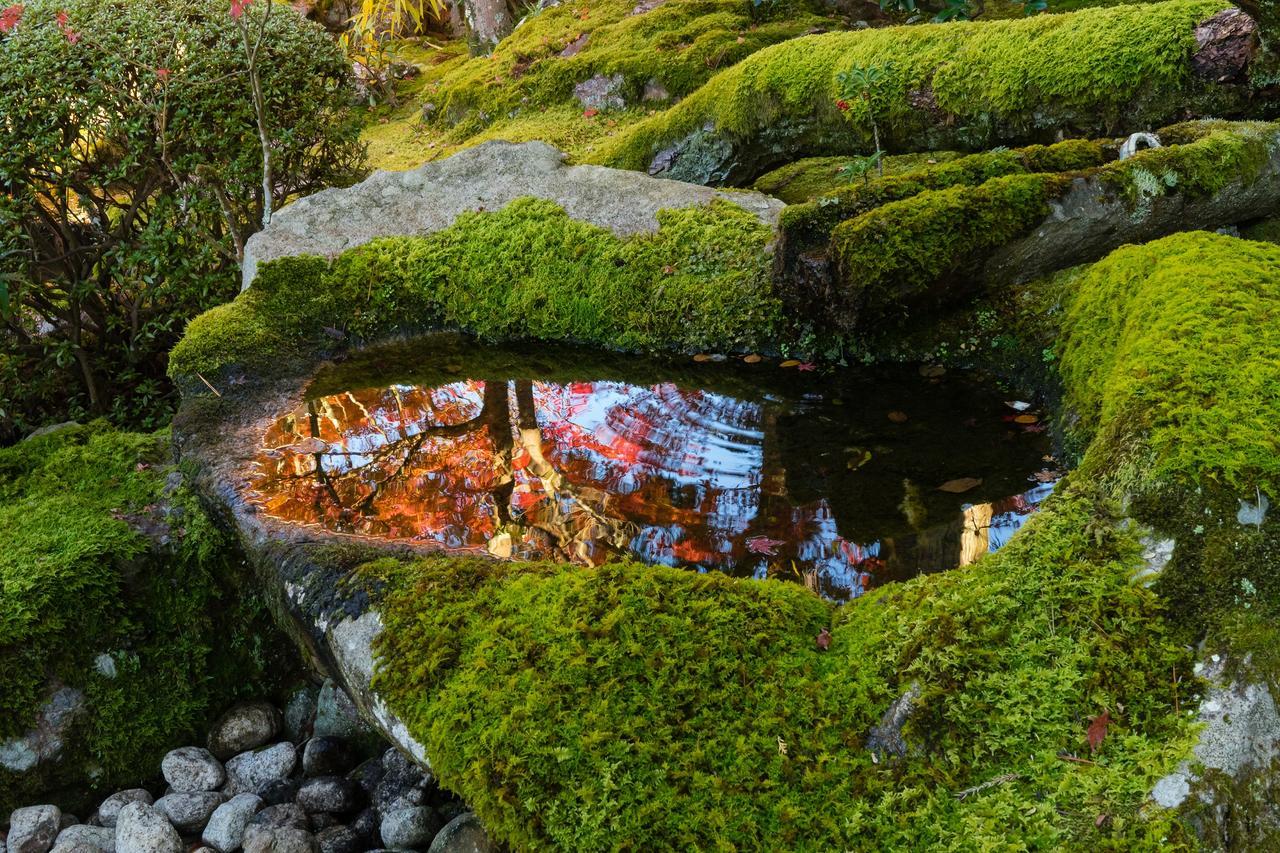 Slow House Kyoto Eksteriør billede